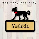 表札【チャイニーズクレステッドドッグ】 L ネームプレート ペット 犬 グッズ マンション アパート 戸建て ギフト 宅配ボックス ポスト