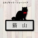 表札【エキゾチックショートヘア】 M かわいい ネームプレート ペット 猫 グッズ マンション アパート 戸建て ギフト 宅配ボックス ポスト にゃんこ