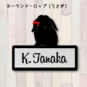 表札【うさぎ ホーランドロップ】 M かわいい ネームプレート ペット 小動物 グッズ マンション アパート 戸建て 取付 簡単 ギフト 宅配ボックス ポスト