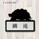 表札【インドホシガメ】 S かわいい ネームプレート ペット 爬虫類 亀 カメ グッズ マンション アパート 戸建て 取付 簡単 ギフト 彫刻 宅配ボックス ポ...