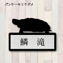 表札【パンケーキリクガメ】 S かわいい ネームプレート ペット 爬虫類 亀 カメ グッズ マンション アパート 戸建て 取付 簡単 ギフト 彫刻 宅配ボックス...