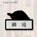 表札【ヘルマンリクガメ】 M かわいい ネームプレート ペット 爬虫類 亀 カメ グッズ マンション アパート 戸建て 取付 簡単 ギフト 彫刻 宅配ボックス ...