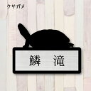 表札【クサガメ】 M かわいい ネームプレート ペット 爬虫類 亀 カメ グッズ マンション アパート 戸建て 取付 簡単 ギフト 彫刻 宅配ボックス ポスト