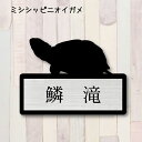 表札【ミシシッピニオイガメ】 S かわいい ネームプレート ペット 爬虫類 亀 カメ グッズ マンション アパート 戸建て 取付 簡単 ギフト 彫刻 宅配ボック...