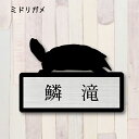 表札【ミドリガメ】 LL かわいい ネームプレート ペット 爬虫類 亀 カメ グッズ マンション アパート 戸建て 取付 簡単 ギフト 彫刻 宅配ボックス ポス...