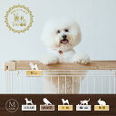 かわいい ペットの ミニ 表札 ホワイト M 犬 猫 ギフト グッズ ペット mo-u-ra ネームプレート マンション アパート 戸建て ポスト 宅配ボックス