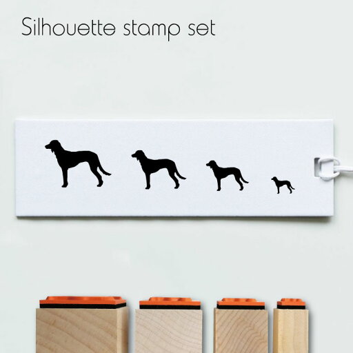 スタンプ4個セット 【 サルーキ 】 シルエット イラスト 犬 ペット はんこ プレゼント ギフトバレットジャーナル かわいい シンプル 手紙 カード スタンプ4個セット 【 サルーキ 】 シルエット イラスト 犬 ペット はんこ プレゼント ギフトバレットジャーナル かわいい シンプル 手紙 カード