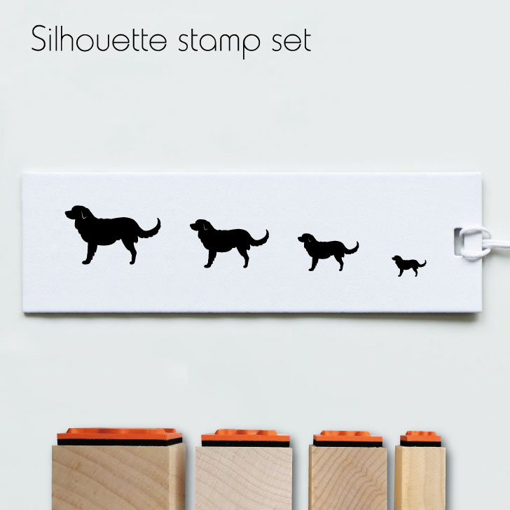 �� �����ѡ�SALE��� P5�� �� �������4�ĥ��å� �� �Υ��������������å��ȡ���󥰥�ȥ꡼�С� �� ���륨�å� ���饹�� �� �ڥå� �Ϥ� �ץ쥼��...