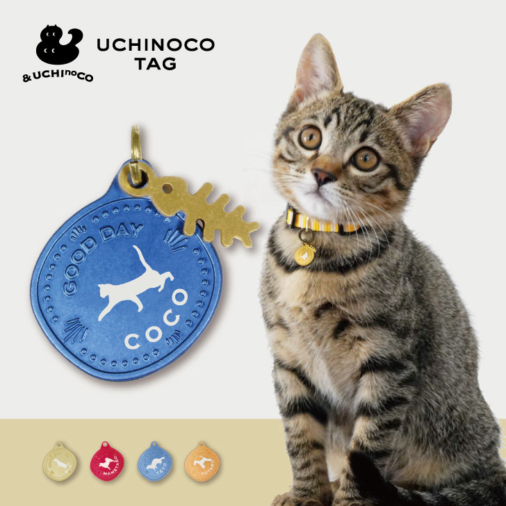 【スーパーSALE 期間中 ポイントUP！ 】迷子札 【 じゃれ猫2 】 UCHINOCOタグ ドッグタグ 名入れ グッズ ペット 名札 軽量 極小 軽い ネームタグ かわいい おしゃれ 首輪 鳥 猫 犬 ワンコ ニャンコ フェレット トカゲ キーホルダー