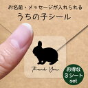 【 スーパーSALE P5倍 】 うちの子 シール お得な3シートセット【 ネザーランドドワーフ 】 お名前シール 名前付け メッセージ ステッカー ペット グッズ 防水 透明 クリア オーダーメイド minne Creema BASE メルカリ ラベル 入学 入園 かわいい おしゃれ 小動物