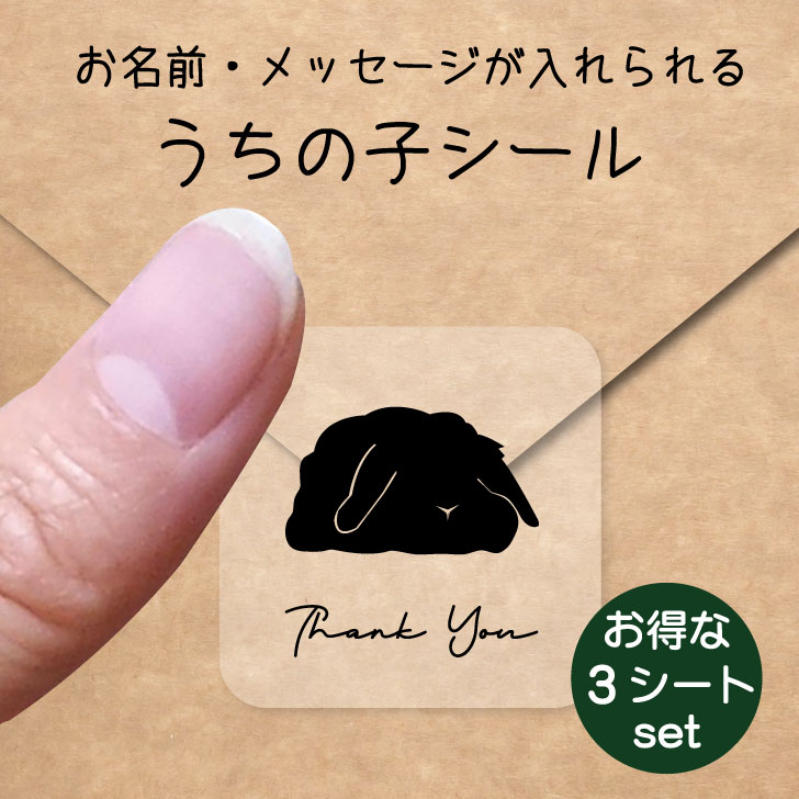 【 BLACK FRIDAY中 P5倍 】 うちの子 シール お得な3シートセット【 アメリカンファジーロップ 】 お名前シール 名前付け メッセージ ステッカ...