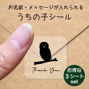 うちの子 シール お得な3シートセット【 チャコモリフクロウ 】 お名前シール 名前付け メッセージ ステッカー ペット グッズ 防水 透明 クリア オーダーメイド minne Creema BASE メルカリ ラベル 入学 入園 かわいい おしゃれ フクロウ(4)