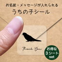 【 BLACK FRIDAY中 P5倍 】 うちの子 シール お得な3シートセット【 アキクサインコ 】 お名前シール 名前付け メッセージ ステッカー ペット...