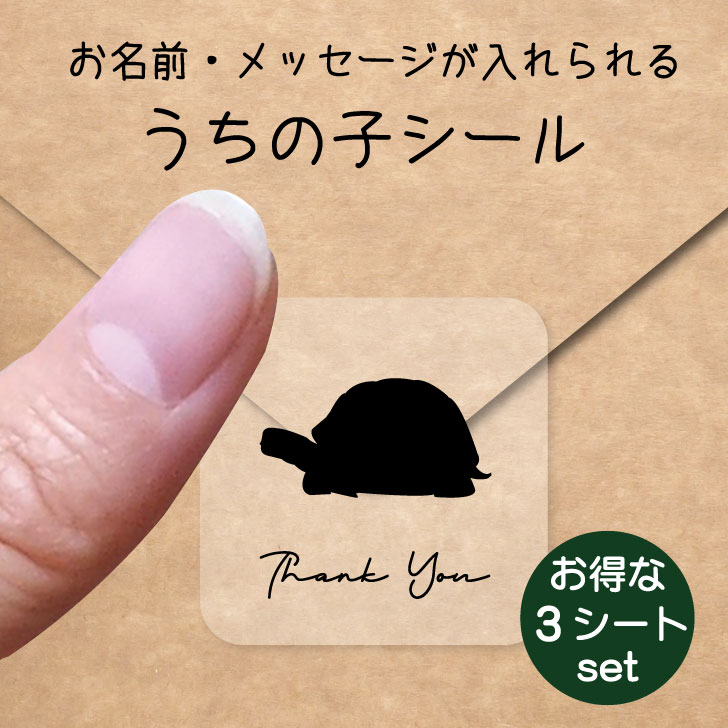 【 BLACK FRIDAY中 P5倍 】 うちの子 シール お得な3シートセット【 ギリシャリクガメ 】 お名前シール 名前付け メッセージ ステッカー ペッ...