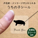 うちの子 シール お得な3シートセット【 パンケーキリクガメ 】 お名前シール 名前付け メッセージ ステッカー ペット グッズ 防水 透明 クリア オーダーメイド minne Creema BASE メルカリ ラベル 入学 入園 かわいい おしゃれ カメ(4)