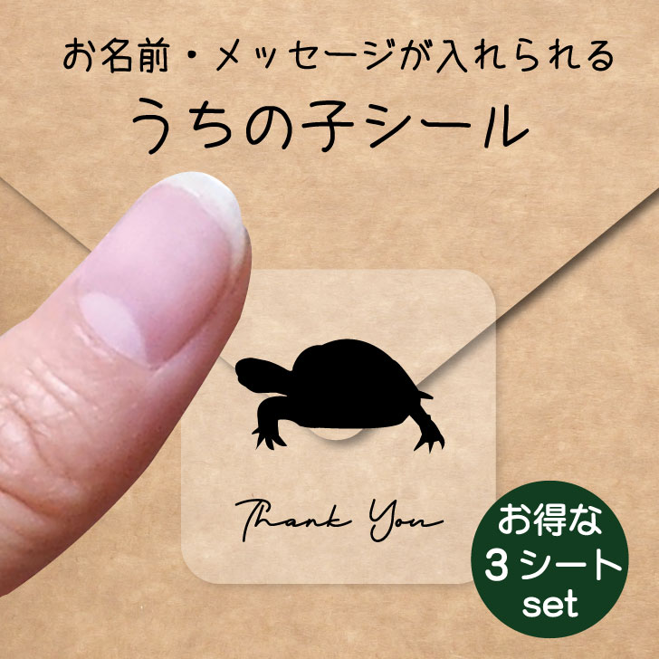 【 BLACK FRIDAY中 P5倍 】 うちの子 シール お得な3シートセット【 ロシアリクガメ 】 お名前シール 名前付け メッセージ ステッカー ペット...