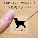 【マラソン中 P5倍】 うちの子 シール 【 イングリッシュコッカースパニエル 】 お名前シール 名前付け メッセージ ステッカー ペット グッズ 防水 透明 ...