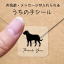 【マラソン中 P5倍】 うちの子 シール 【 グレートスイスマウンテンドッグ 】 お名前シール 名前付け メッセージ ステッカー ペット グッズ 防水 透明 ク...
