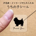 【マラソン中 P5倍】 うちの子 シール 【 ノーリッチテリア 】 お名前シール 名前付け メッセージ ステッカー ペット グッズ シルエット 防水 透明 クリ...