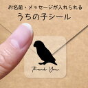 【 ギフトに 】 うちの子 シール 【 ボタンインコ 】 お名前シール 名前付け メッセージ ステッカー ペット グッズ シルエット 防水 透明 クリア オーダーメイド minne Creema BASE メルカリ ラベル 入学 入園 かわいい おしゃれ 鳥