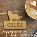 【 マラソン中 P5倍 】名札【キャバリアキングチャールズスパニエル】 かわいい ネームプレート バッジ バッチ ペット 犬 グッズ プレゼント 映え 映える ...