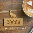 【 マラソン中 P5倍 】名札【コーニッシュレックス】 かわいい ネームプレート バッジ バッチ ペット 猫 ねこ ネコ グッズ プレゼント 映え 映える ギフ...