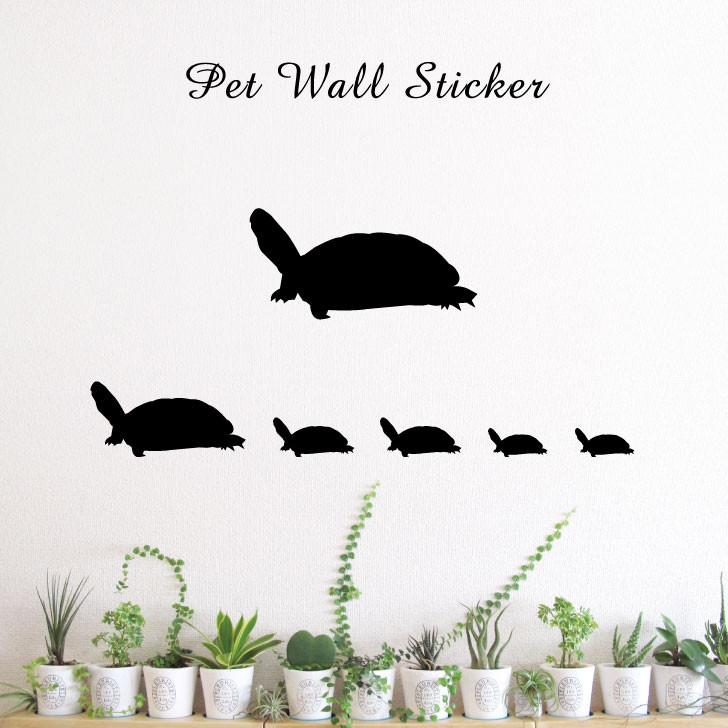 【 スーパーSALE 3,480円→1,740円 】 ウォールステッカー 【 クサガメ 】かわいい ペット シール シルエット グッズ おしゃれ プレゼント ギ...