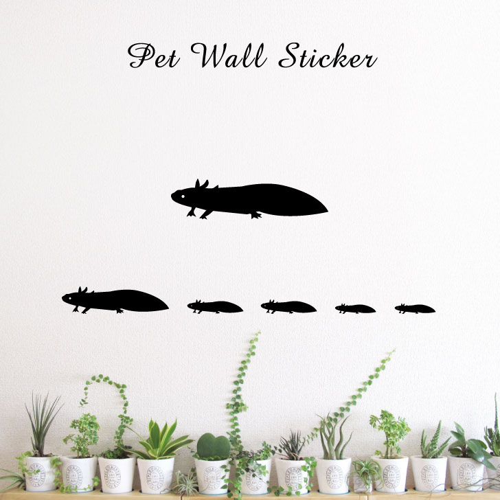【 スーパーSALE 3,480円→1,740円 】 ウォールステッカー 【 ウーパールーパー 】かわいい ペット シール シルエット グッズ おしゃれ プレゼ...
