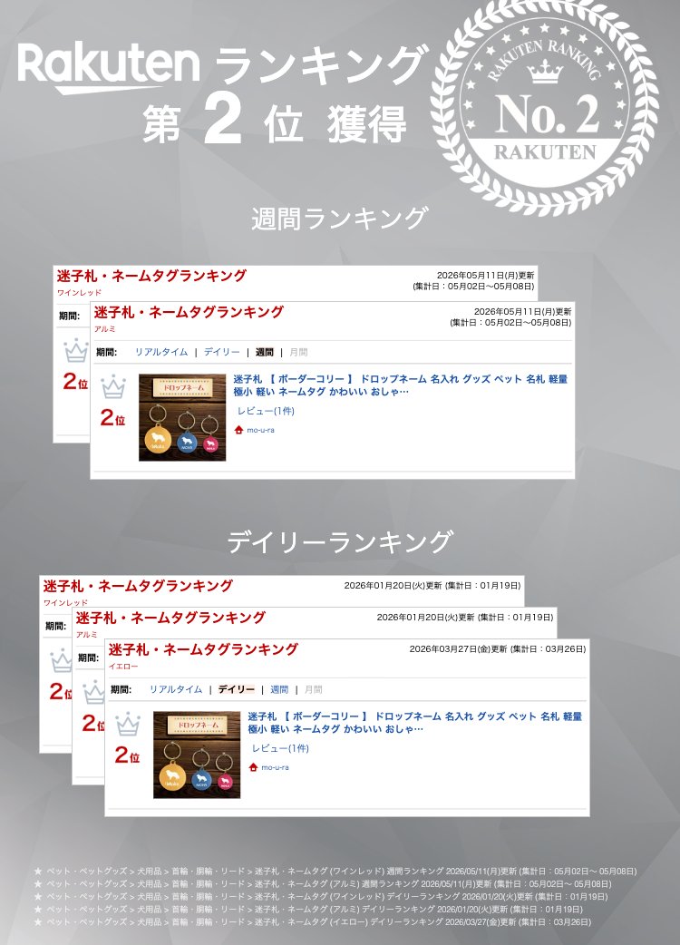 迷子札 【 ボーダーコリー 】 ドロップネーム 名入れ グッズ ペット 名札 軽量 極...