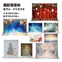 【最終入荷】 撮影背景布 かわいい 冬 ラメ クリスマス W150×H100cm 縦型 W100×H150cm 撮影用 背景布 柄 背景スクリーン ペット写真 記念日 冬 クリスマスツリー パーティグッズ タペストリー 撮影小物 犬 猫 うさぎ ペットの写真撮影に