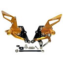 CBR250RR MC51 バックステップ金 ABS対応3ポジション＋ レーシング用6ポジション SNIPER スナイパー SP0096G