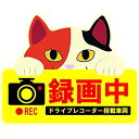 かわいい猫のドライブレコーダー録画中マグネットサイン 三毛猫