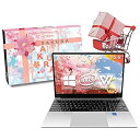 VETESA桜シリーズ テレワーク最適 初期設定済み 【Windows 10搭載】【WPS Office2搭載】【キングソフトインターネットセキュリティ永久版付...