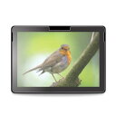 Premium Style Surface GO用 液晶保護フィルム アンチグレア PG-SFGOAG02