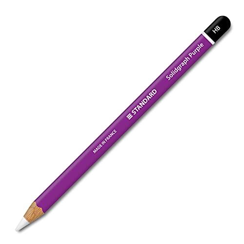 アップルペンシル2世代専用スキンシールス Apple Pencil iPad Pro Apple Pen テッカー 保護フィルム カバー ケース ペンシル柄（2枚組） B07、パープル