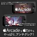 クロスフォレスト iPod touch 7 (6/5)世代用ガラスフィルム 樹脂製ホームボタンカバー付き ラウンドエッジ 液晶保護フィルム アンチグレア2枚セット CF-GHIPT5AGSET 3