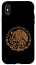 iPhone X/XS メキシコ、メキシコパスポート、メキシコ、メキシコ国旗、メキシコ。 スマホケース