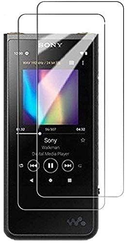 【2枚セット】Sony walkman NW-ZX500 ガラ
