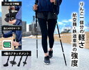 折りたたみウォーキングポール 2本セット