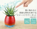 葉が奏でる・音と緑の癒し「スマートフラワーポット」