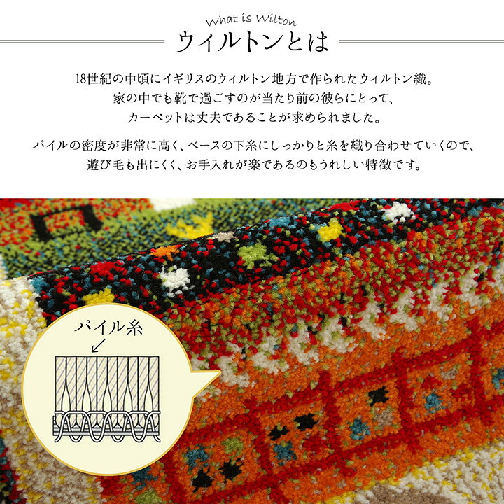 【ポイント10倍!今晩20時開始】マット プラテリア 玄関マット 70x120cm 室内用 おしゃれ ウィルトン織 トルコ製 パイル 抗菌 防臭 消臭 フリーゼセット加工 丈夫 ふかふか インテリアマット [2]
