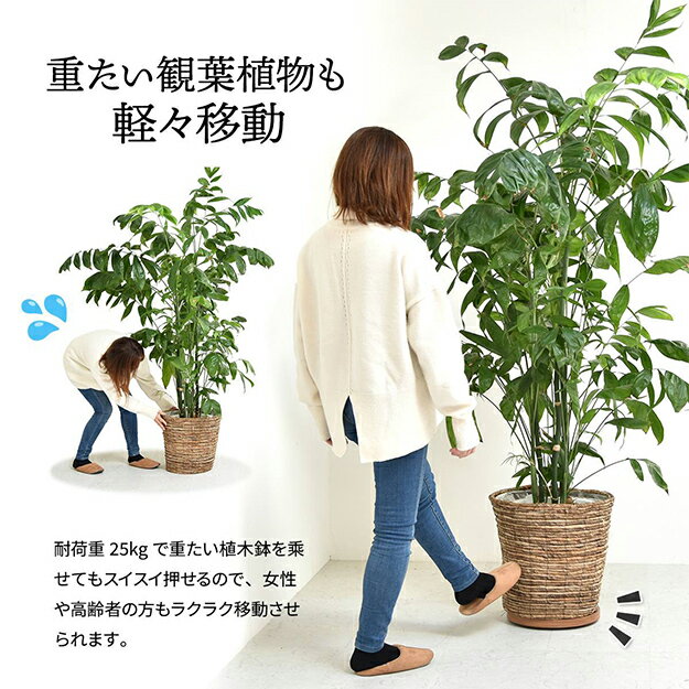 ��P10��!����20�����ϡۥץ�󥿡�������� ����ץ� �饦��� �ץ�󥿡��١��� ONPT0106 ȭ�֤��� �߷� �ݷ� ���㥹������ 360�ٲ�ž ���ࡼ����ư ����Ĵ ���տ�ʪ ȭ���� ���