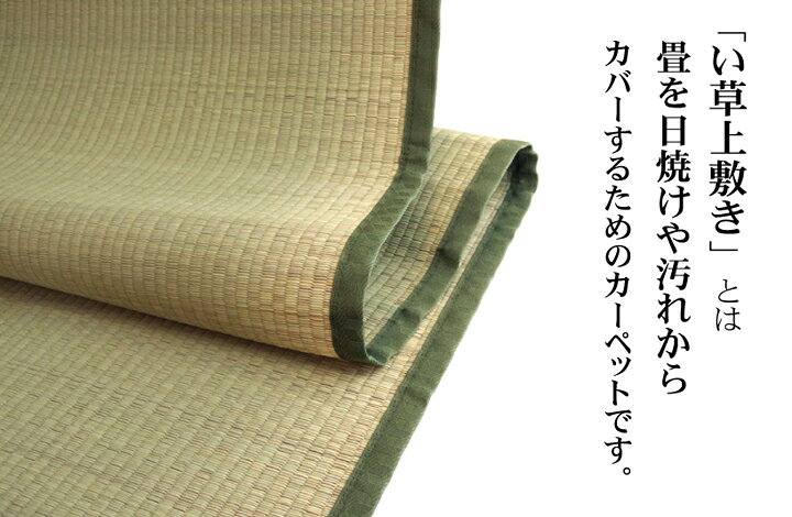【ポイント10倍!今晩20時開始!】い草マット ナチュラル 純国産 い草上敷きカーペット 草津 江戸間6畳 261x352cm 日本製 九州産い草 双目織 畳カバー ヒバエッセンス 抗菌 消臭 長方形 無地 [2]