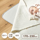 【ポイント最大10倍!15日23:59まで】ラグマット カーペット アンダーラグ 約170x230cm ラグ 敷物 下に敷くだけ 防音 抗菌防臭 両面滑り止め ...