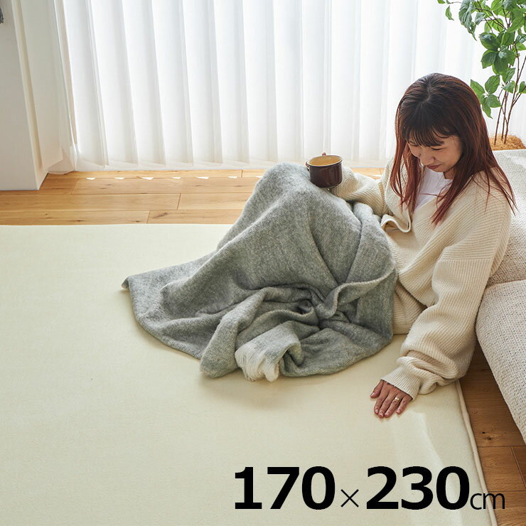 【ホットカーペット/床暖房対応】ラグ 下敷き 防音 ラグマット 170x230cm ピタリプレミアム 低反発 カーペット 下敷きラグ 洗える 長方形 3畳 絨毯 おしゃれ すべり止め 1人暮らし オールシーズン