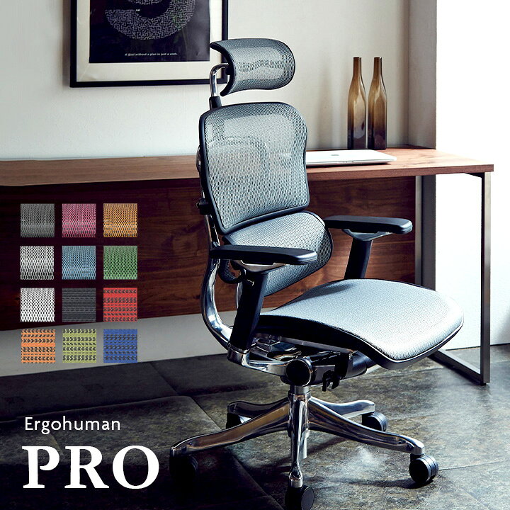 [割引クーポン配布中] Ergohuman PRO(エルゴヒューマン プロ) ヘッドレスト付き EHP-HAM 12色対応 オフィスチェア パソコンチェア デスクチェア キャスター付き 1人掛け ハイバック 書斎 オフィス家具 在宅ワーク テレワーク いす イス 椅子 (大型)