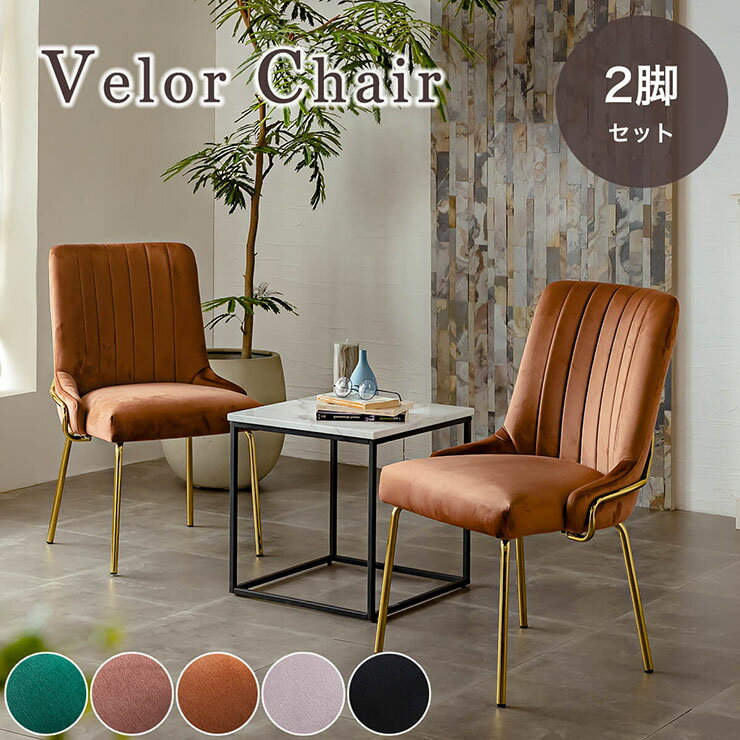 [ポイント5倍] ダイニングチェア ダイニングチェアー Velor Chair 2脚セット 5色対応 ダイニング チェア リビングチェア デスクチェア キャスター無し 食卓椅子 おしゃれ 椅子 北欧風 布 アイアン脚 かわいい