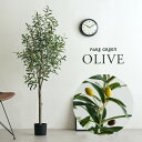 [ポイント3倍] 人工観葉植物 フェイクグリーン OLIVE(オリーブ) GRN-17 H152cm 人工植物 観葉植物 おしゃれ フェイク 造花 大型 グリーン オリーブの木 インテリア