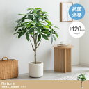 フェイクグリーン 観葉植物 高さ120cm 大型 光触媒 人工観葉植物 パキラ Nature(ナチュレ) フェイク グリーン 人工 観葉植物 おしゃれ 造花 鉢...