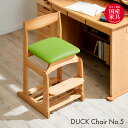 [|Cg5{] [Y/i/A_[Cގgp] wK`FA DUCK Chair(_bN`FA) No.5 5FΉ  PVC LX^[t wK֎q ׋֎q ׋`FA ~`FA ~ ؐ`FA ؐ֎q  xc؍H